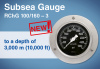 Subsea pressure gauge